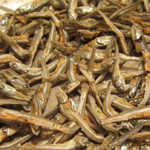 Ikan Teri